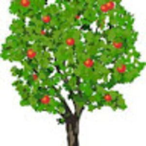 Meet your Posher, Kaden